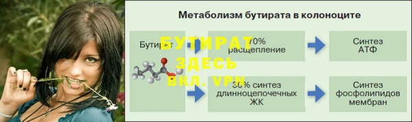 прущие грибы Нея