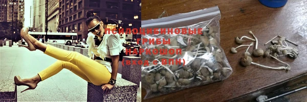 PSILOCYBIN Нефтекумск