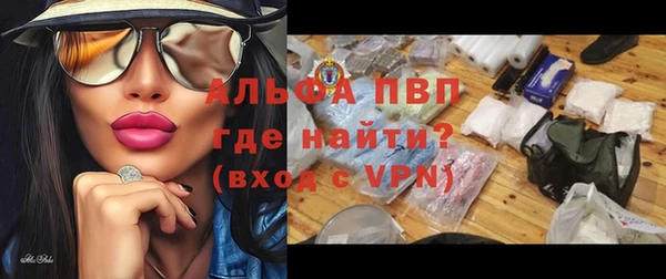прущие грибы Нея