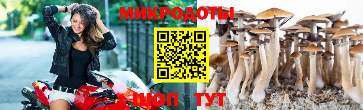 Псилоцибиновые грибы ЛСД Темрюк